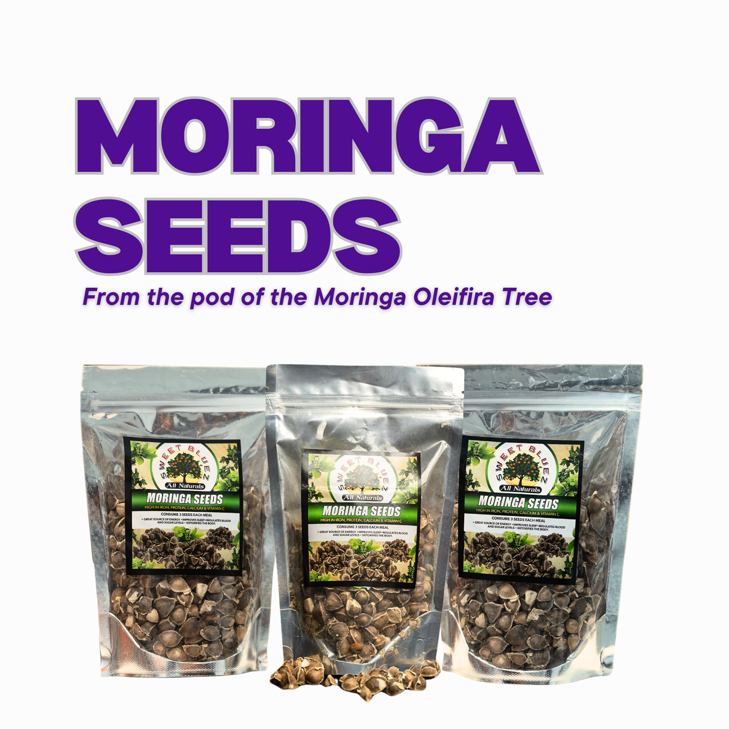 Moringa seeds, Moringa powder, moringa oleifira tree, benefits of moringa