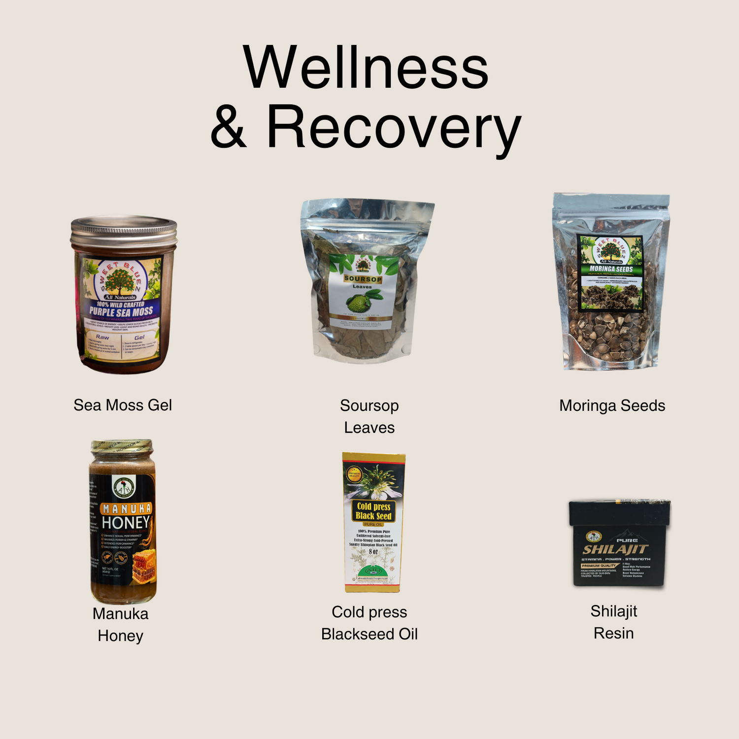 x Wellness & Recovery