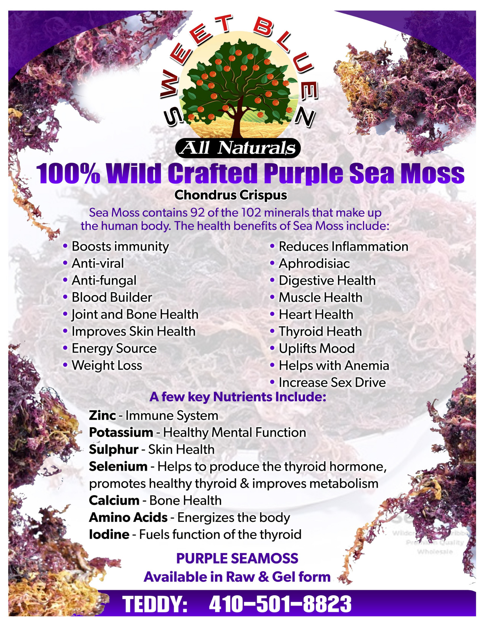 Benefits of Seamoss, wild crafted purple seamoss, chondrus crispus sea moss, thyroid, omega 3 fatty acids, anti-inflammatory, heart health