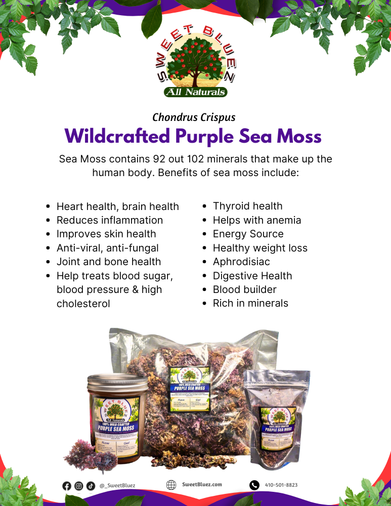 Sea Moss (1lb) Purple Wild crafted Chondrus Crispus